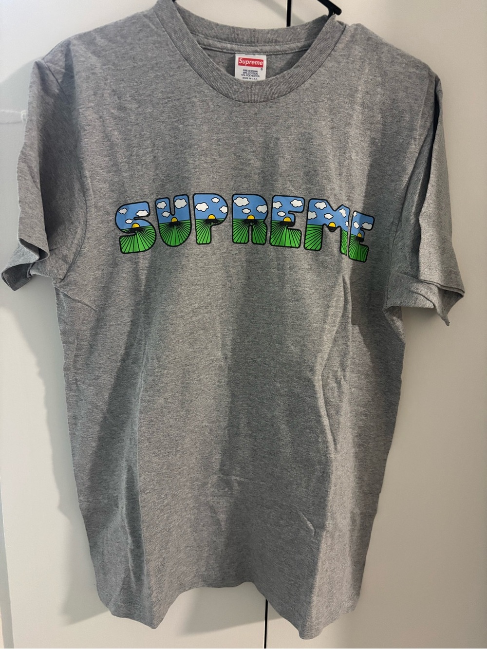 WORN ONCE Supreme Gray Tee with Blue Sky & Green Graphic Logo